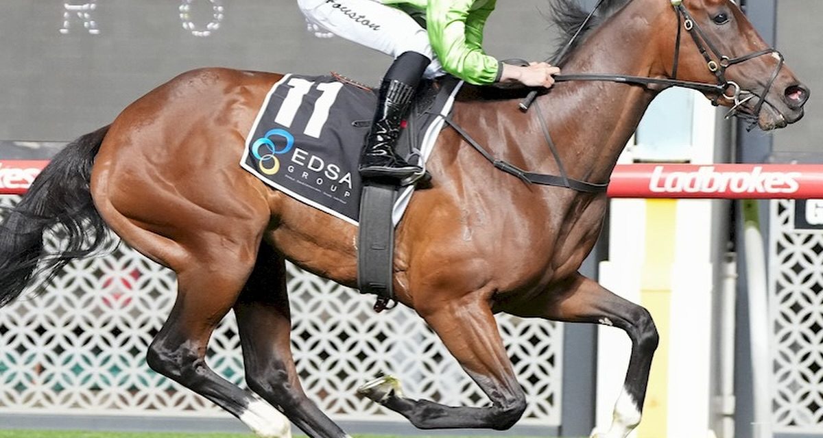 Super Win Autumn Slide At Moonee Valley