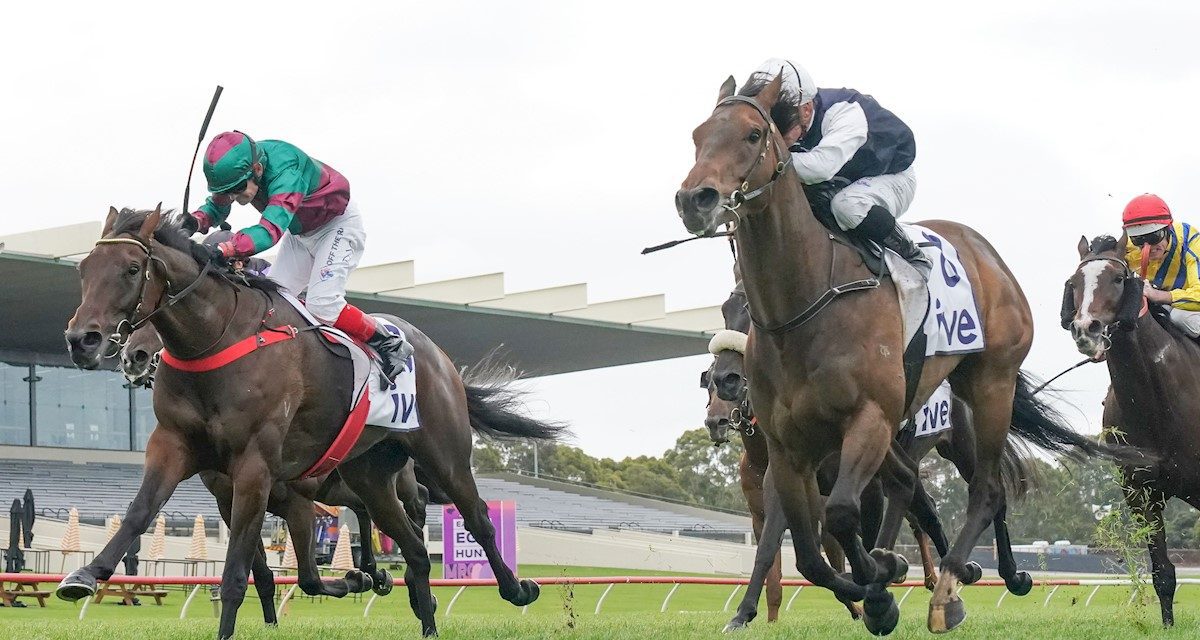 Horse Racing Flemington