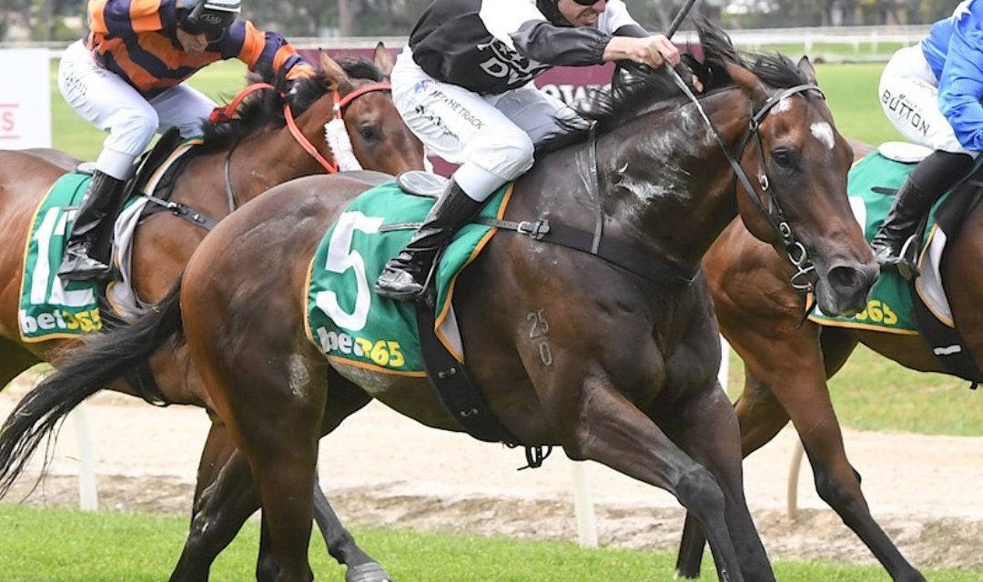 Stolen Art Wins On Wodonda Cup Day