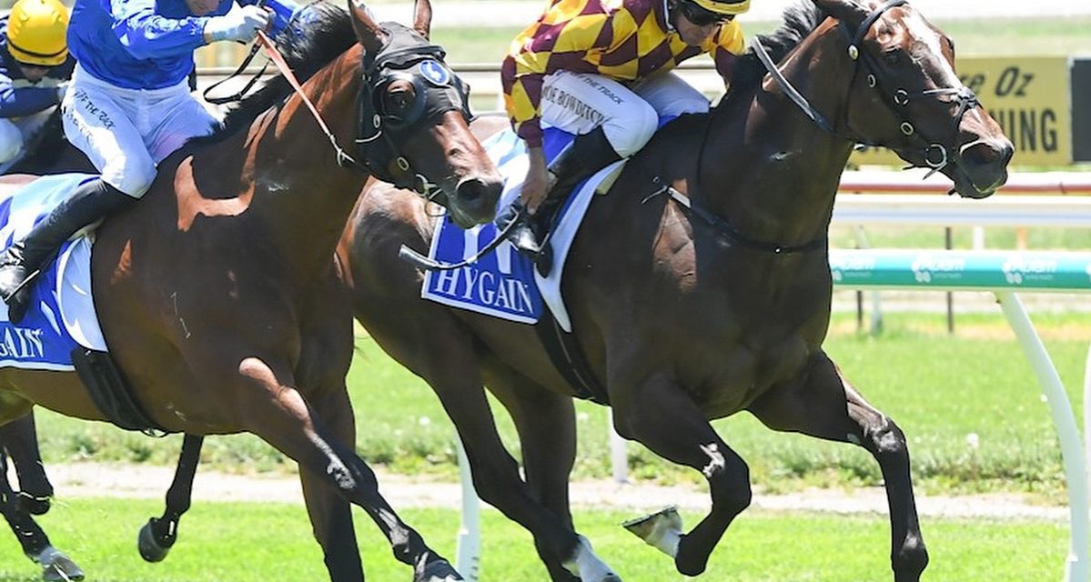 Hionado Leads All The Way At Bendigo on Sunday