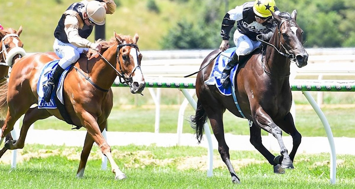 Holler Thy Name Wins for Donalds Racing At Kyneton