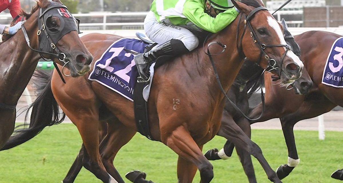 Shesallshenanigans Toughs It Out At Flemington