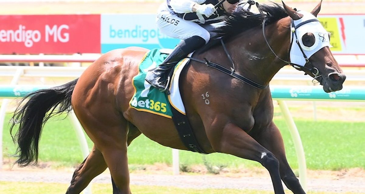 Anhalt Strolls To Victory At Bendigo